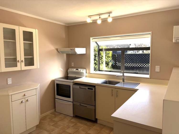 111a Avondale Road Greenmeadows_2