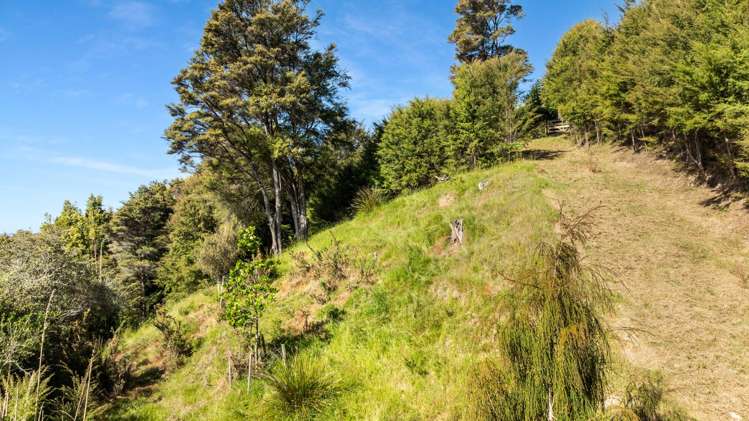 12 Patton Place Tairua_7