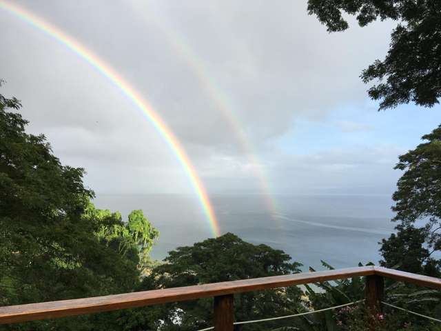 Lot 3 Daku Savusavu_1