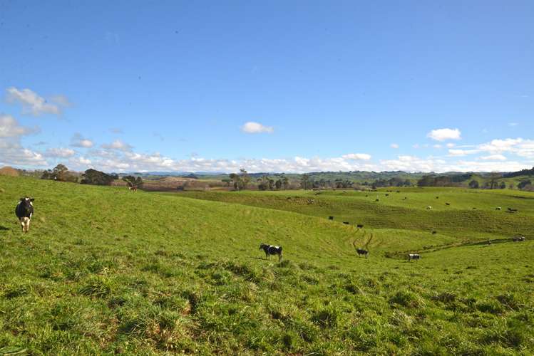 220 Tikitiki Road Te Kuiti_6