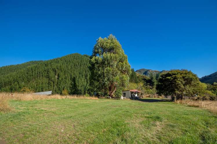 1180 Tyntesfield Road Waihopai Valley_18