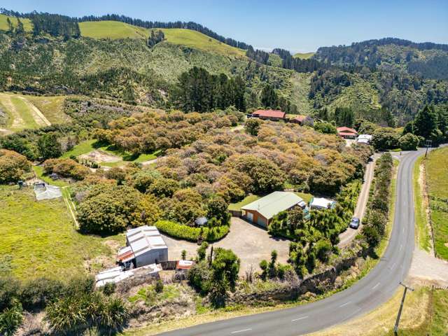 460 Waitao Road Tauranga_1