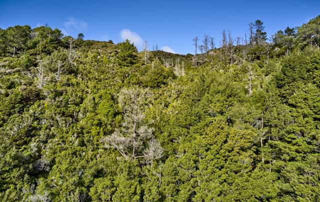 34 Ngahere Street Stokes Valley_4