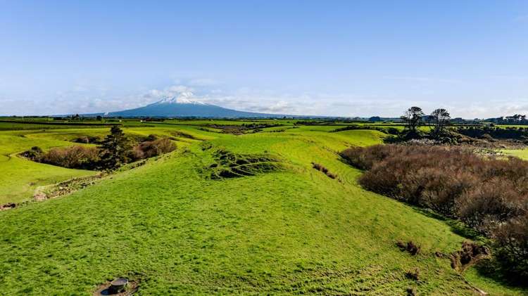 5B2A Hastings Road Okaiawa_11