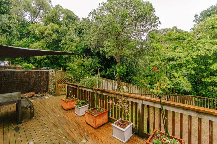 43 Sidlaw Street Strathmore Park_17