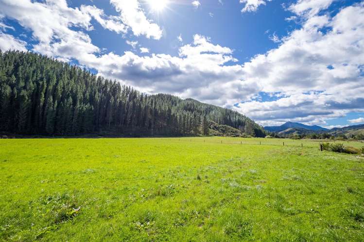 61 Matiri West Bank Road Murchison_19