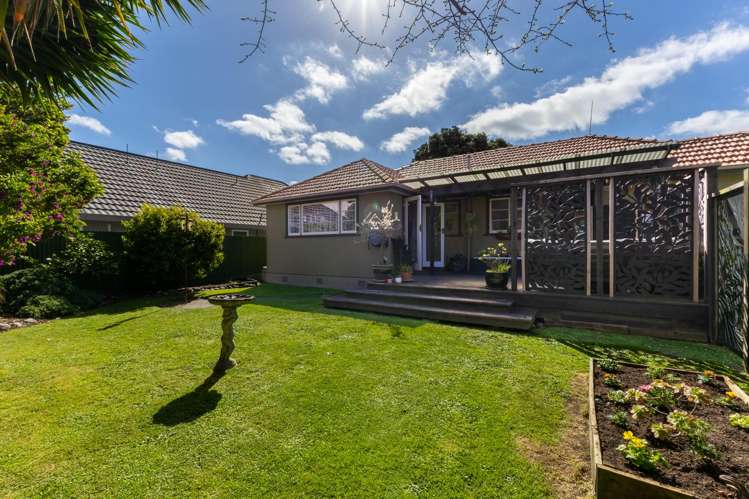 6 Puriri Terrace Roslyn_27