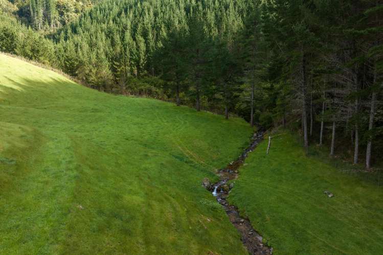 Lot 2, Maungatapu Road Pelorus Bridge_11