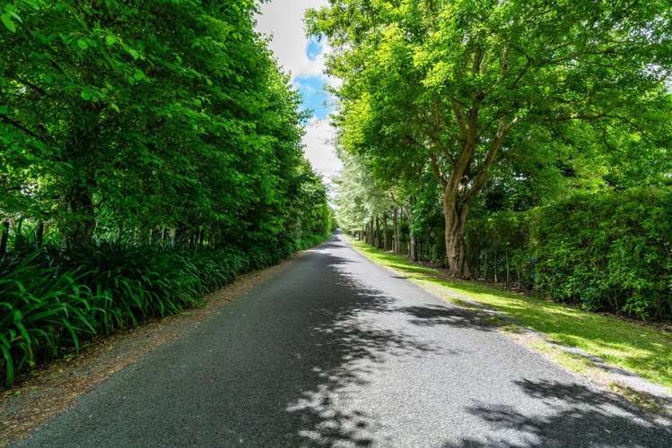 64 Lea Grove Levin_1