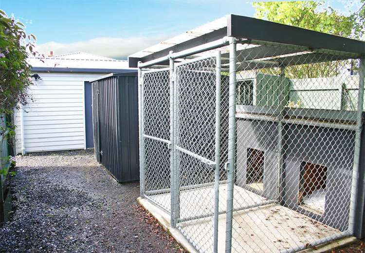 11 Vampire Road Waldronville_16