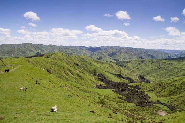 4064 State Highway 4 Kakatahi_18