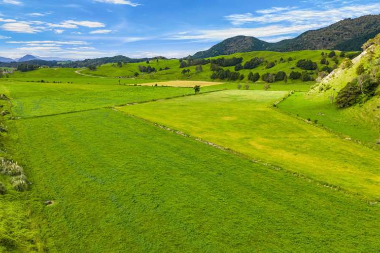 Omana Road Tangiteroria_12