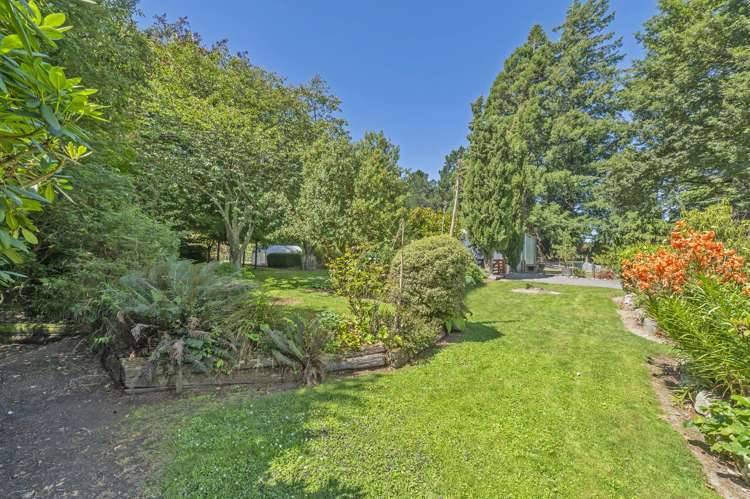 428 Kowai Road Springfield_31