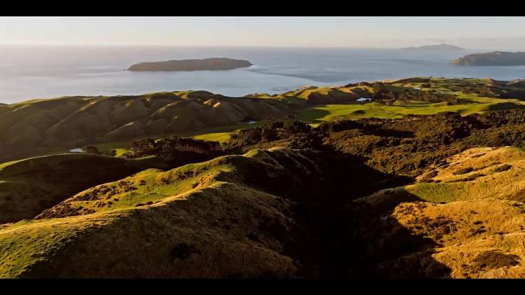 Pikarere Farm Porirua_8