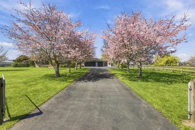 61 Everad Avenue Matamata_1