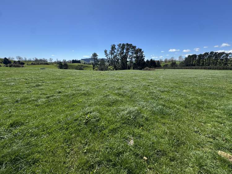530 Mangatutu Rd RD3 Maihiihi_14