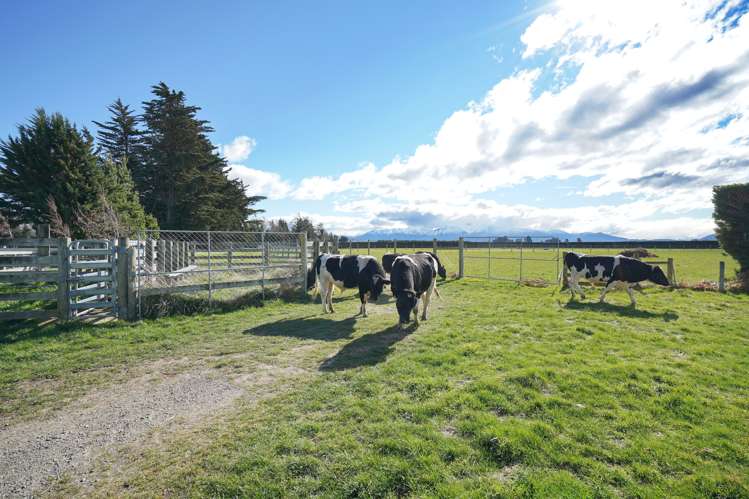 3818 Old West Coast Road Sheffield_16