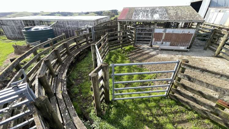 227 Tapu Bush Road Whangaripo_9