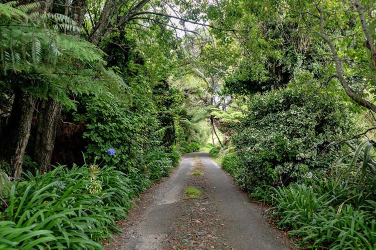 70A Thompson Road Waiotahe_31