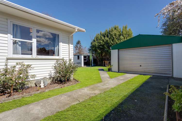 1291 Fergusson Drive Brown Owl_15