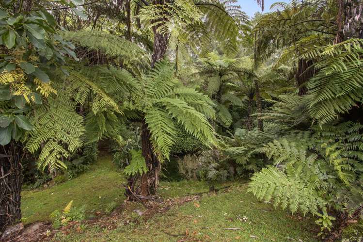 175 Bulltown Road Waihi_18