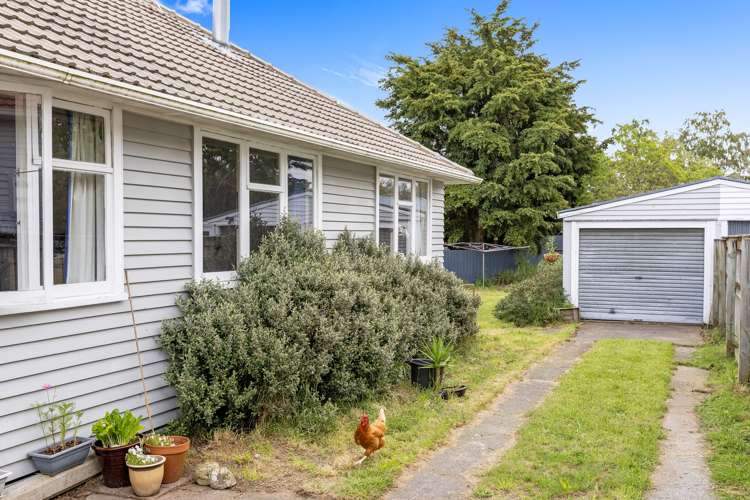 34 Maire Street Wairakei_18