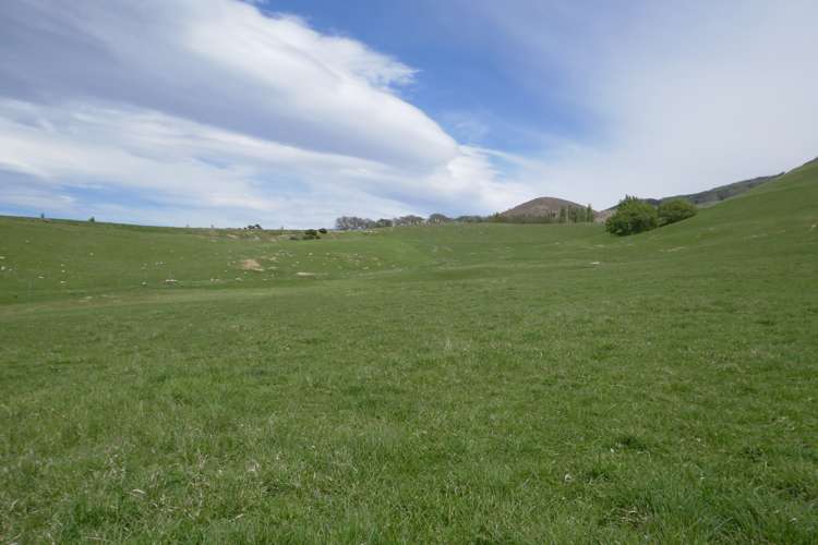 66 Jocelyn Road Bannockburn_11