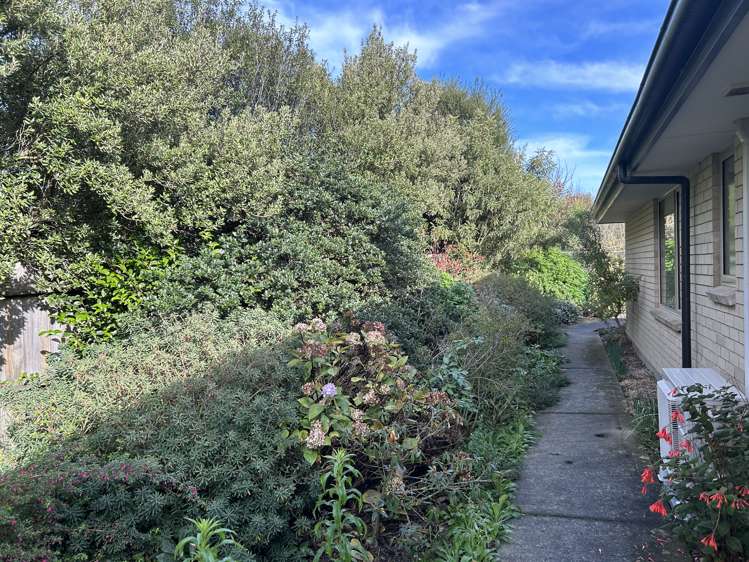 119 Lowes Road Rolleston_15