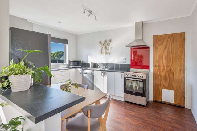 6 Ripon Place Tamatea_2