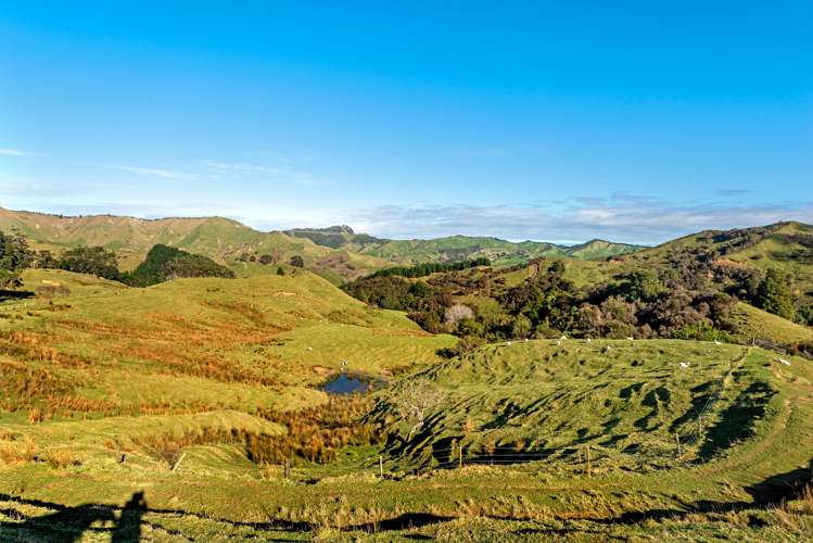 758 Glenroy Road Whangara_8