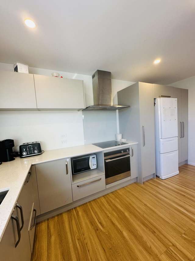 54 Pourewa Street Te Kauwhata_3