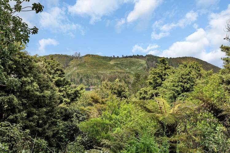 Lots 3, 4 & 5 Don Meara Lane Kauri_26
