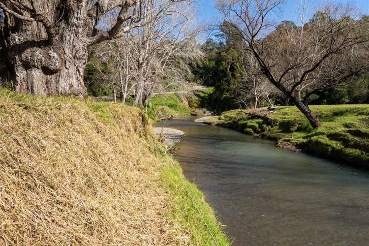 Tirohanga Road Kawakawa_31