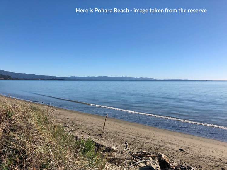 5a Selwyn Saint Pohara Kahurangi National Park_2