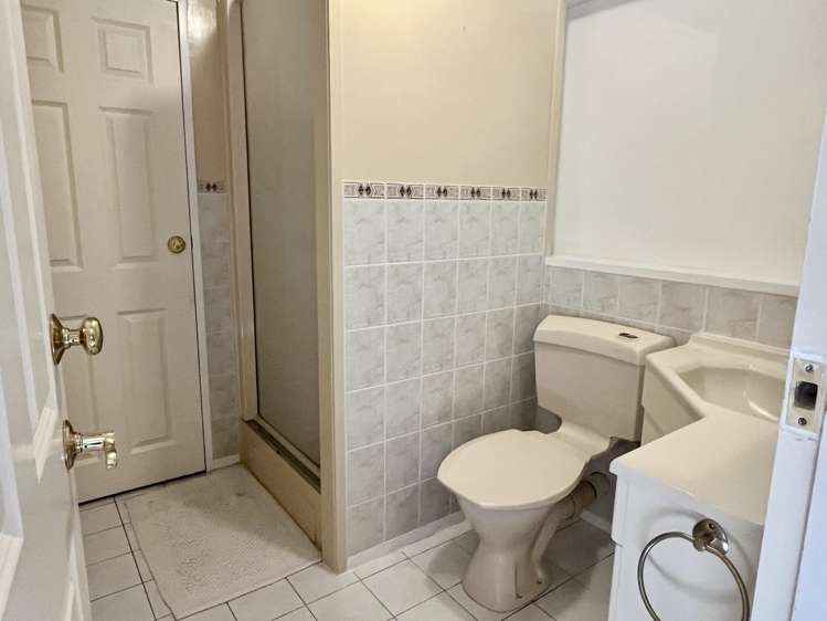 44 Gracechurch Drive Flat Bush_7