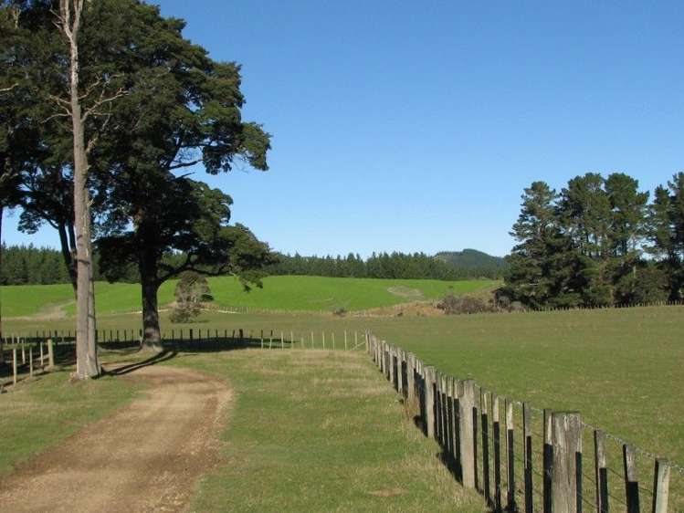 743 Ngaumu Road Wainuioru_12