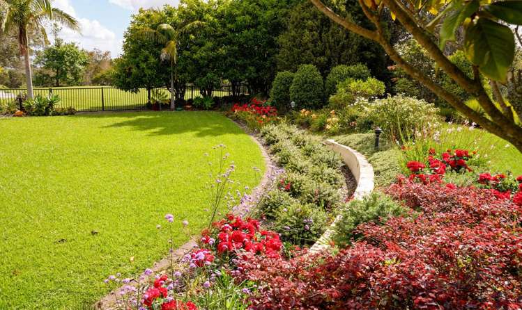 117 Schnapper Rock Road Schnapper Rock_22