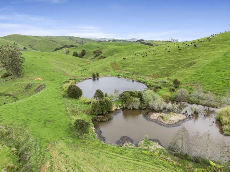 637 to 897 Tahuroa Road Morrinsville_17