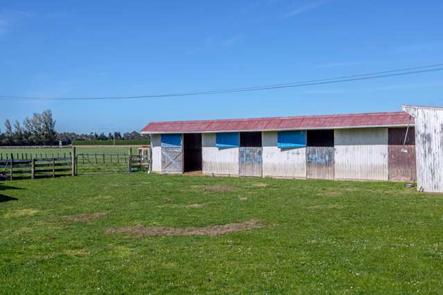 3865 State Highway 2 Carterton_3