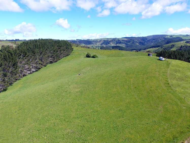 2229 State Highway 31, Kawhia Road Otorohanga_9