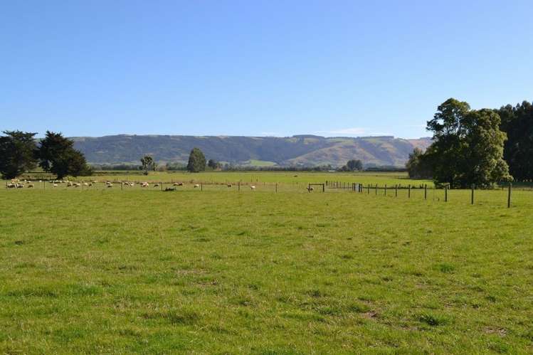 230 Bush Road Mosgiel_7