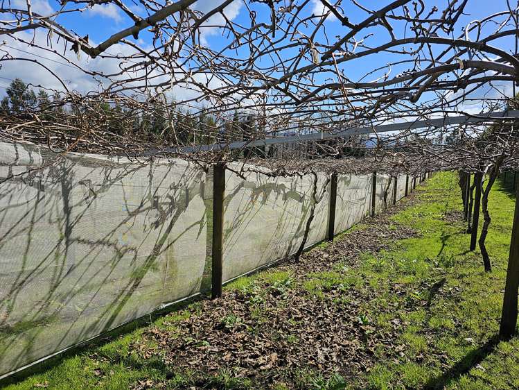 134a Athenree Road Athenree_16