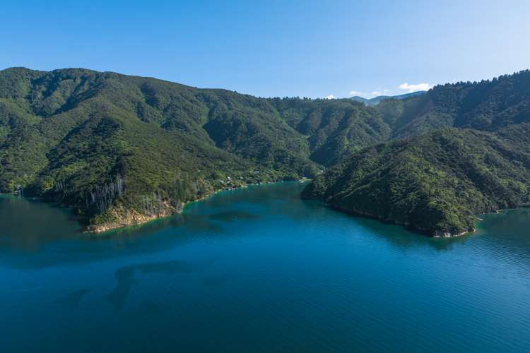 2 and 11 Bay of Many Coves Marlborough Sounds_26