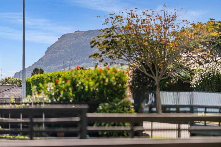 2 Laing Place Otumoetai_3