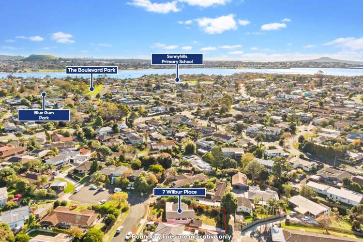 7 Wilbur Place Pakuranga Heights_9