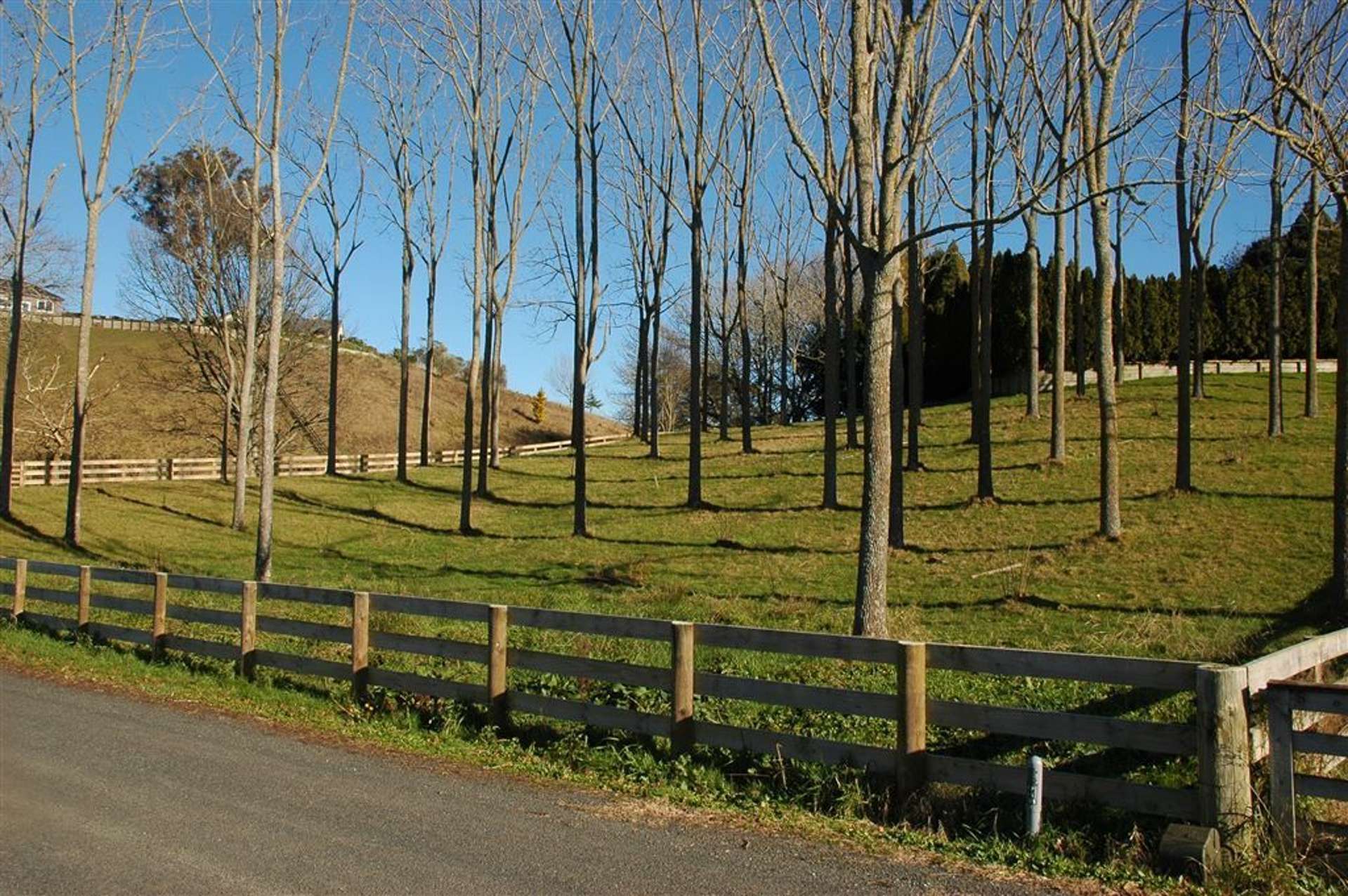 102e Maungakawa Road Cambridge_0