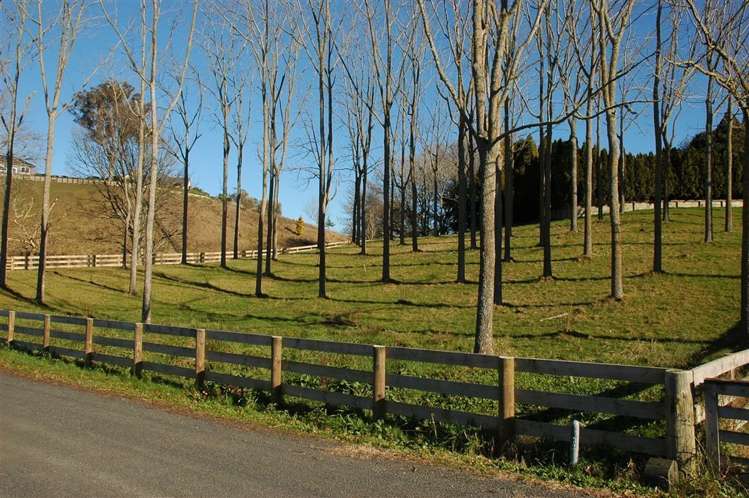 102e Maungakawa Road Cambridge_0