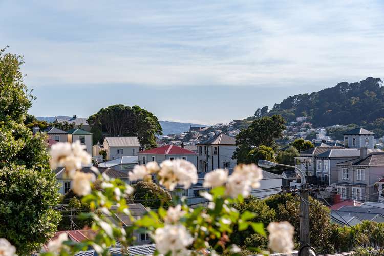 18 Carrington Street Mount Cook_13