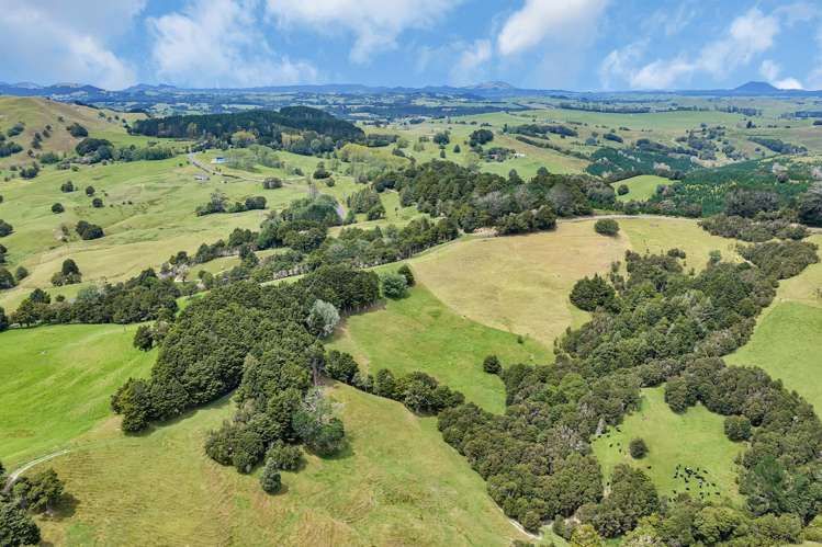 Pipiwai Road Purua_27