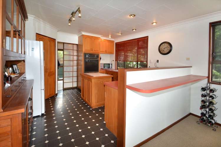 35 Aytoun Street Waverley_2